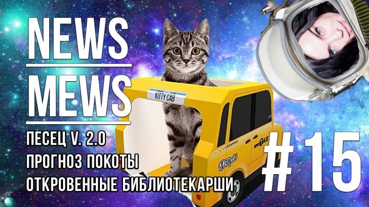 News Mews #15: Елена Темникова, Uber Cat и Песец