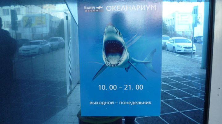 Океанариум (Казань 24.03.18)