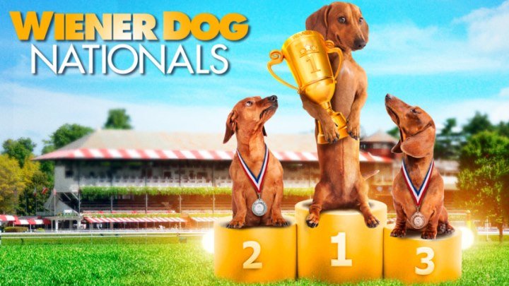 Чемпионат страны среди такс (2013) Wiener Dog Nationals