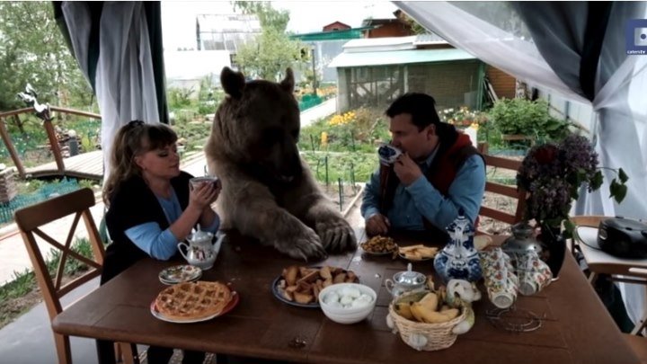 Мама, папа и медведь Степан!