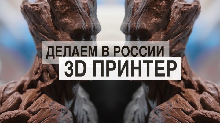 ДЕЛАЕМ В РОССИИ: 3D принтер
