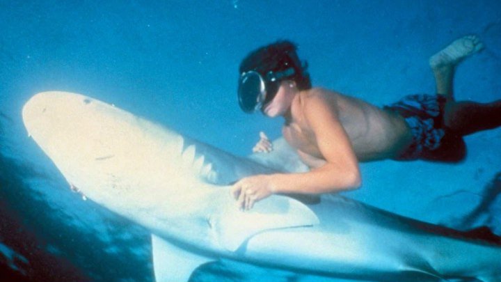 Ловец акул с острова Бора-Бора / 1981 / DVDRip