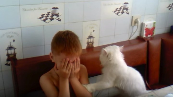 Добрый кот жалеет мальчика!