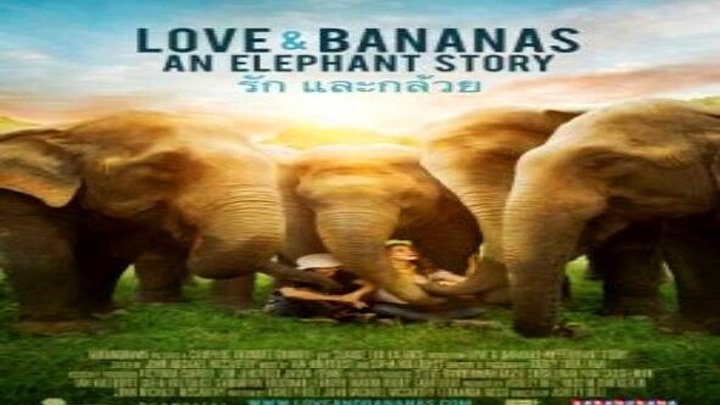 Любовь и бананы (2018) документальный, драма, приключения