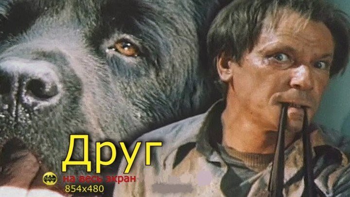 ДРУГ (драма, фильм о животных, фэнтези) 1987 г