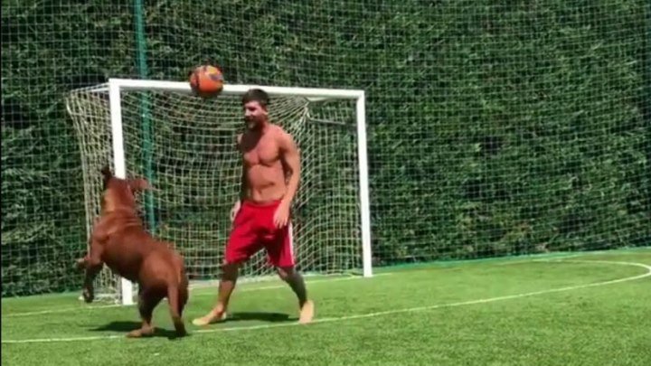 Месси против Халка: нападающий «Барселоны» сыграл в футбол со своим псом