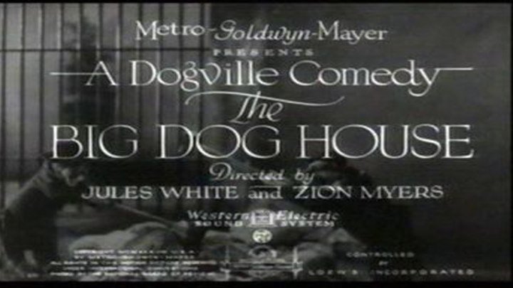 M.G.M. Dogville Comedy Short📽️🐶🎬 - The Big Dog House (A TCM TV Print)