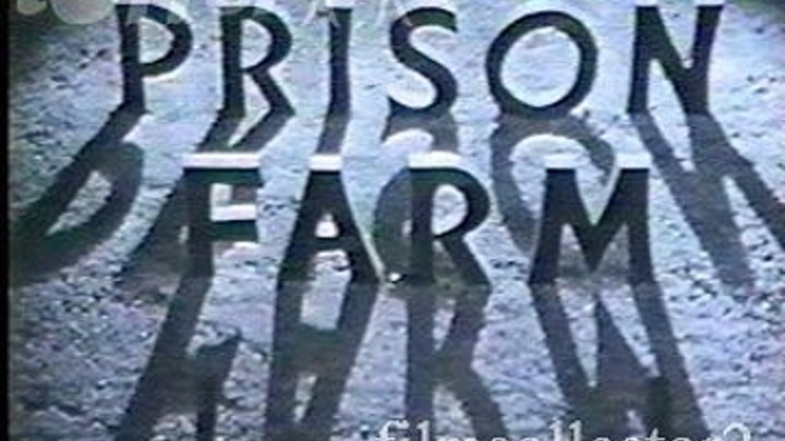 Prison Farm 1938 (not restored) William Holden’s film debut, Shirley Ross and Lloyd Nolan.