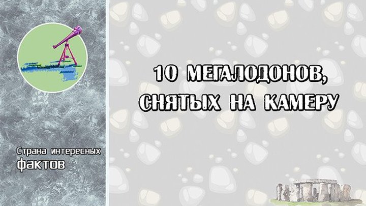 10 МЕГАЛОДОНОВ, снятых НА КАМЕРУ (ОНИ РЕАЛЬНЫ!)
