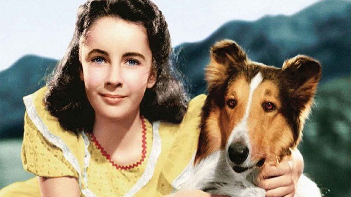 Лесси возвращается домой (1943) / Lassie come home (1943)