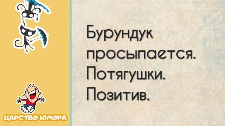 Бурундук просыпается Потягушки Позитив 100%