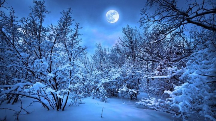 Старинный русский романс - "В лунном сиянии снег серебрится"