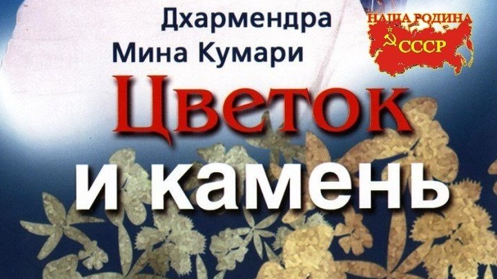 Цветок и камень