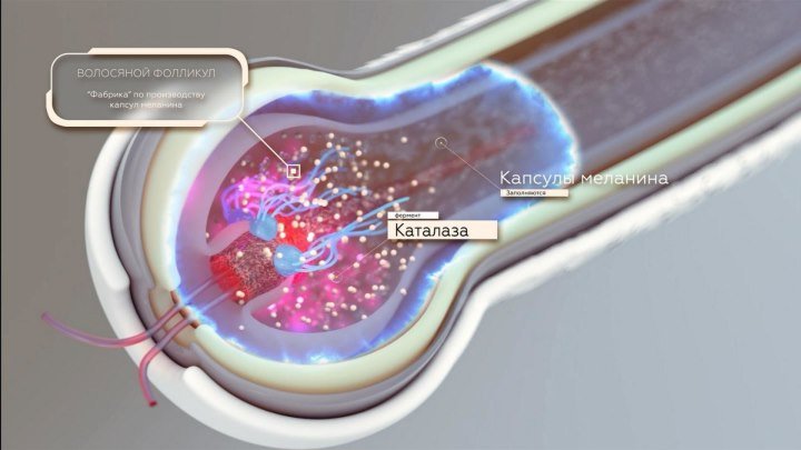 Почему седеют волосы и как это исправить