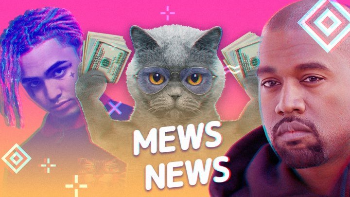 Mews News: Кот за 5 млн. рублей