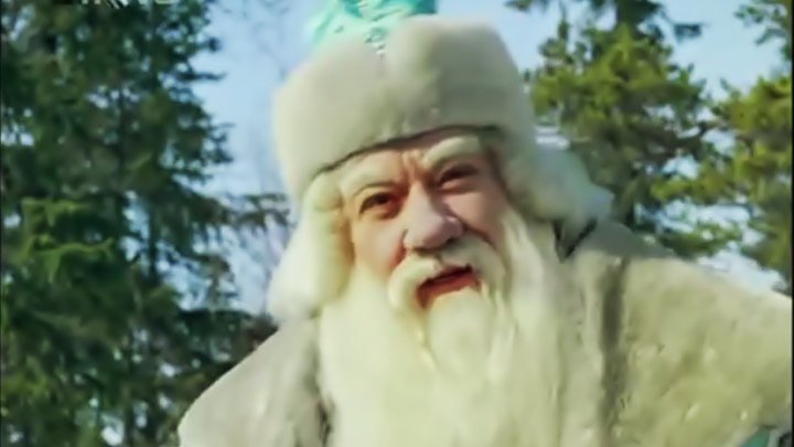 Здравствуй Дедушка Мороз, борода из ваты!