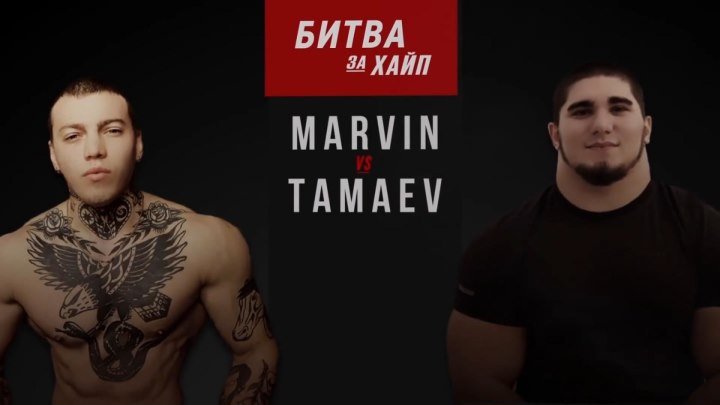 Филипп Марвин vs.Асхаб Тамаев .Поединок блогеров по правилам ММА .