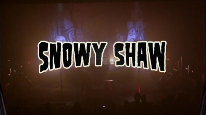 SNOWY SHAW - LIVE AT WACKEN OPEN AIR. 2016 - https://ok.ru/rockoboz (8338)