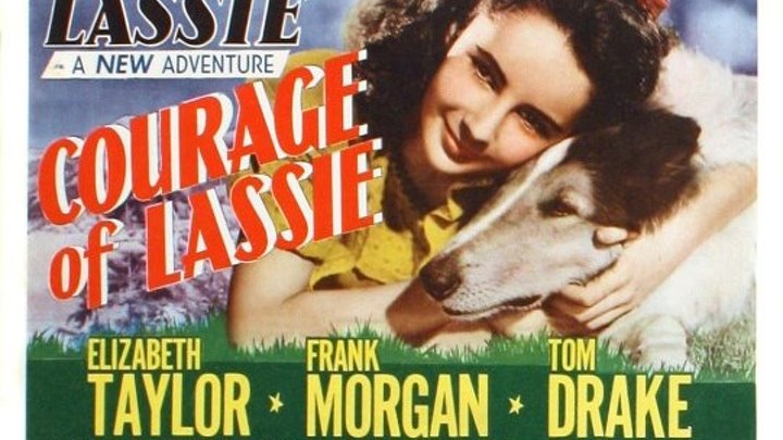Courage of Lassie 1946 with Elizabeth Taylor, Frank Morgan and Tom Drake