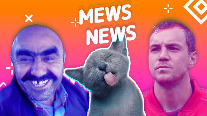 Mews News: Кот запугал медведя