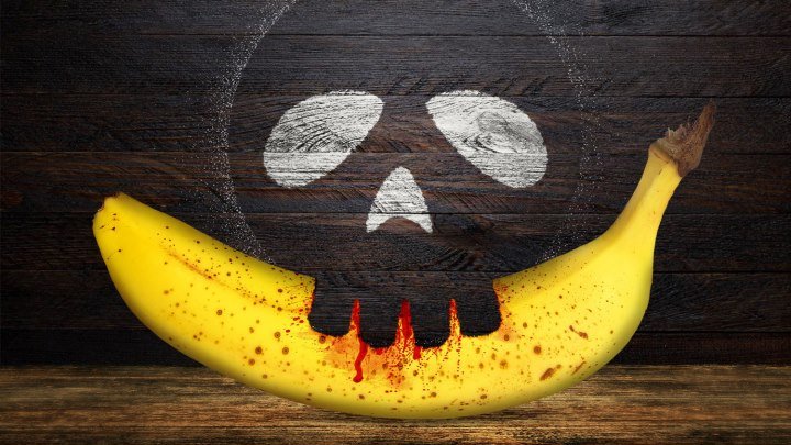 Банановая индустрия Эквадора: история отравлений