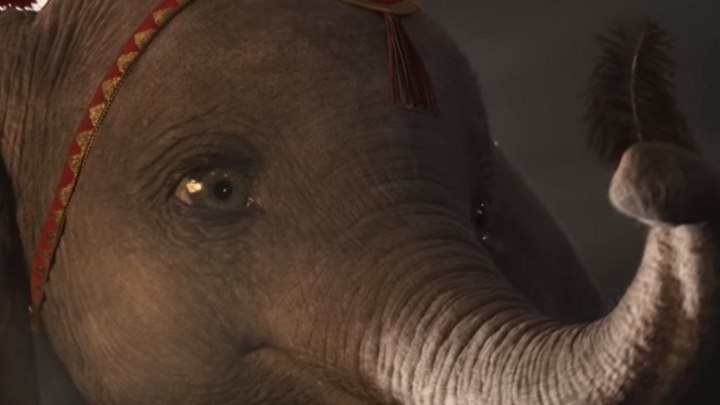 Дорогие мои слоны (2019)