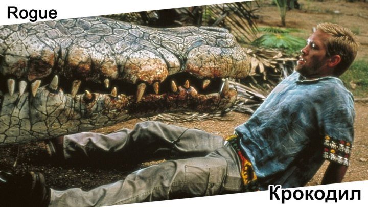 Крокодил | Rogue, 2007