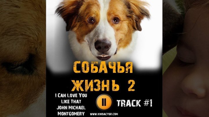 Собачья жизнь 2 HD(фэнтези, драма, комедия, приключения, семейный)2019
