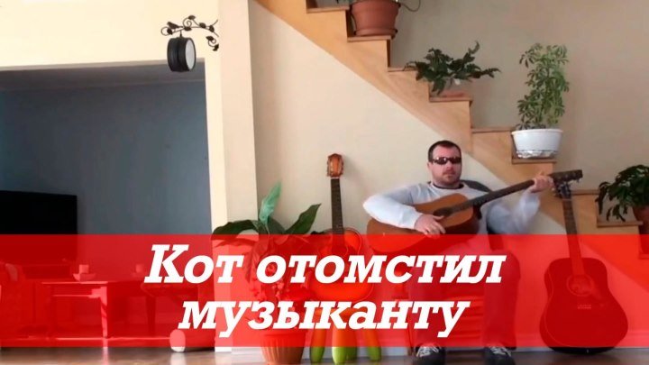 А нечего было котю прогонять 😼