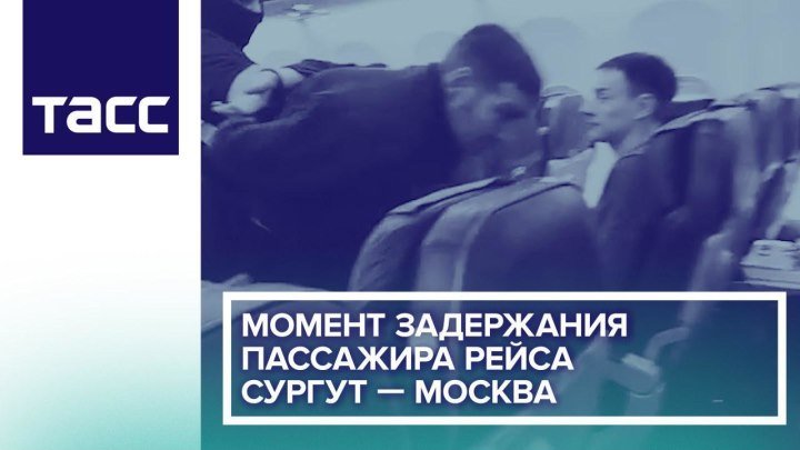Момент задержания пассажира рейса Сургут — Москва