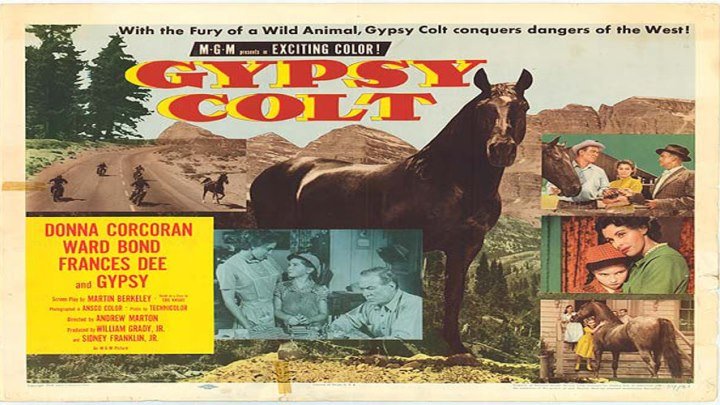 Gypsy Colt 🐎 starring American child star, Donna Corcoran!