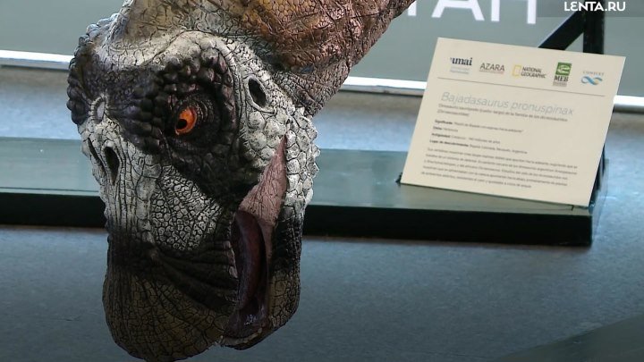 Динозавр-еж