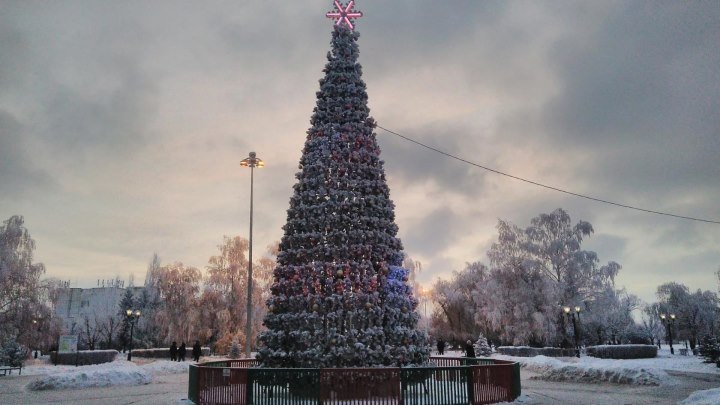 Зимняя сказка: красивая изморозь, легкий снежок и новогодняя елка в парке Победы.