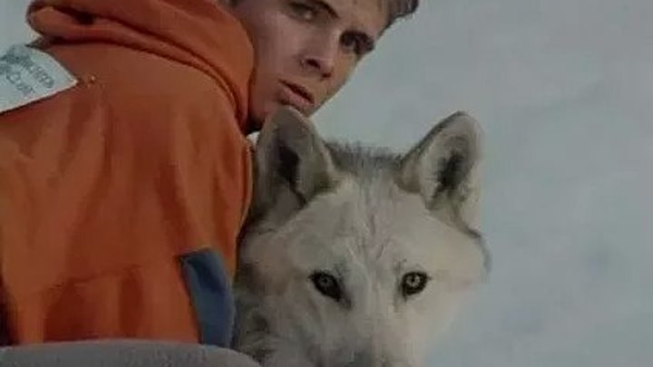 Серебряный волк (1999)Приключения, Семейный. Страна: США, Канада.