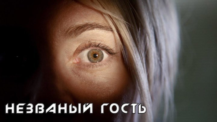 Незваный гость (2004) ужасы, триллер, драма, детектив
