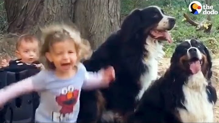 Kids Grow Up With 2 Giant Dogs | The Dodo