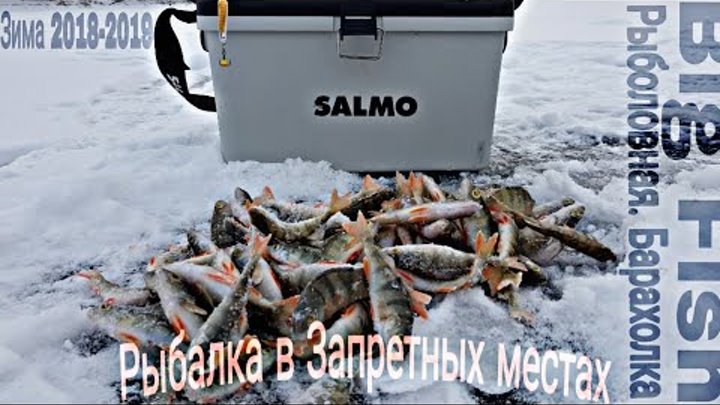 Зимняя рыбалка 2018-2019! Ловим в запрещенных местах! Опасная рыбалка! Мормышка-Жерлицы!!!