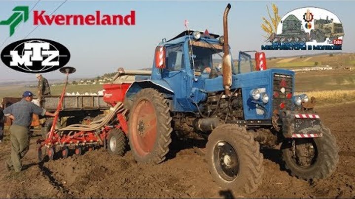 Сеем пшеницу на Мтз 82 и Kverneland Accord DL