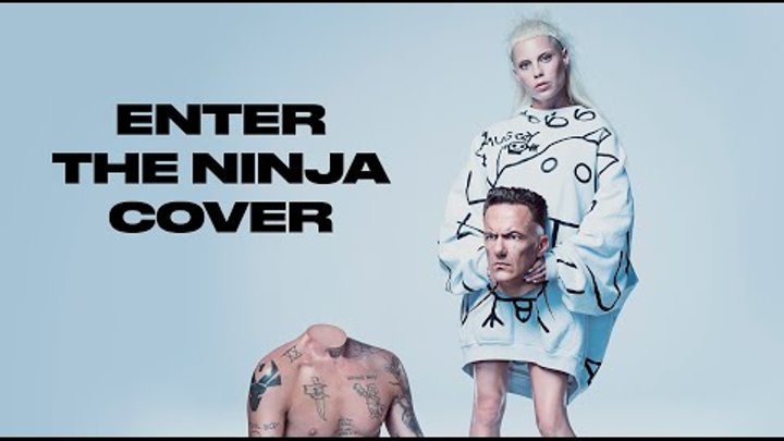 Die Antwoord - Enter the ninja (Guitar version)