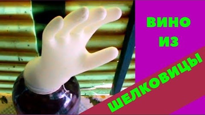 Рецепт вина из шелковицы /тутовых ягод/ Как сделать вино из шелковицы своими руками Рецепт вина из шелковицы /тутовых ягод/ Как сделать вино из шелковицы своими руками