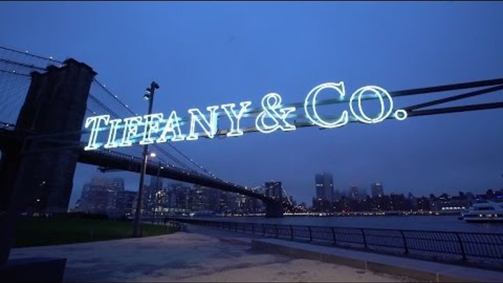 Tiffany & Co. — The 2017 Tiffany Blue Book Gala