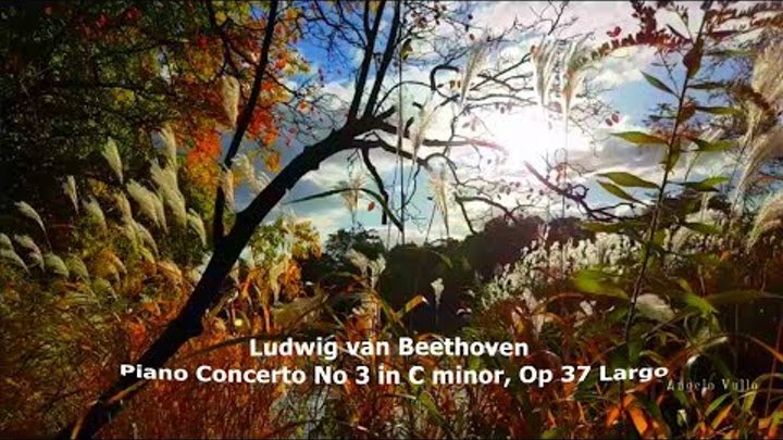 Ludwig van Beethoven Piano Concerto No 3 in C minor, Op 37 Largo