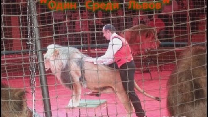 Цирк Монте-Карло : Аттракцион «Один среди львов»
