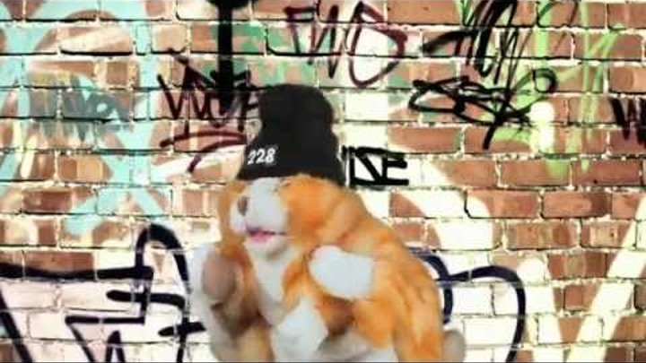 Скачать максим кошка скачать максим кошка