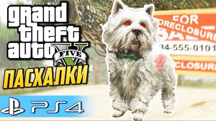 GTA 5 Пасхалки и секреты (PS4) - Собачка убийца!
