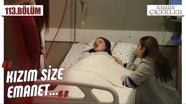 Kızlarla vedalaşan Songül! - Kırgın Çiçekler 113.Bölüm (Final) Kızlarla vedalaşan Songül! - Kırgın Çiçekler 113.Bölüm (Final)