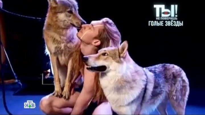 Голого белоруса на сцене «Евровидения 2016» могут растерзать волки.