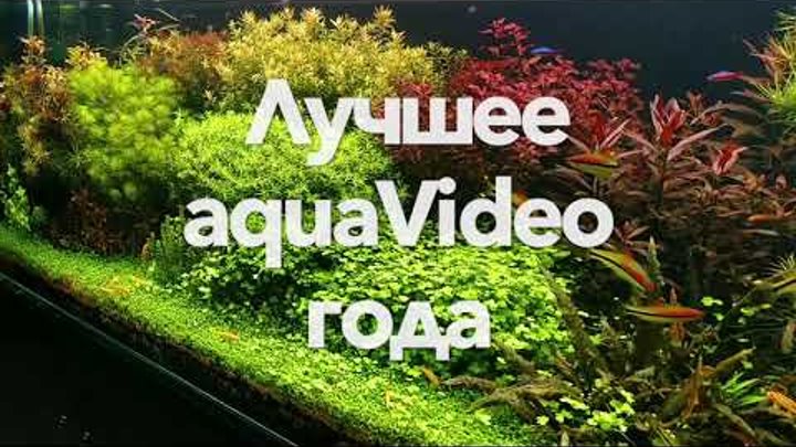 Шок видео! Сенсация! Вся правда про aquaMegaClub! 😜
