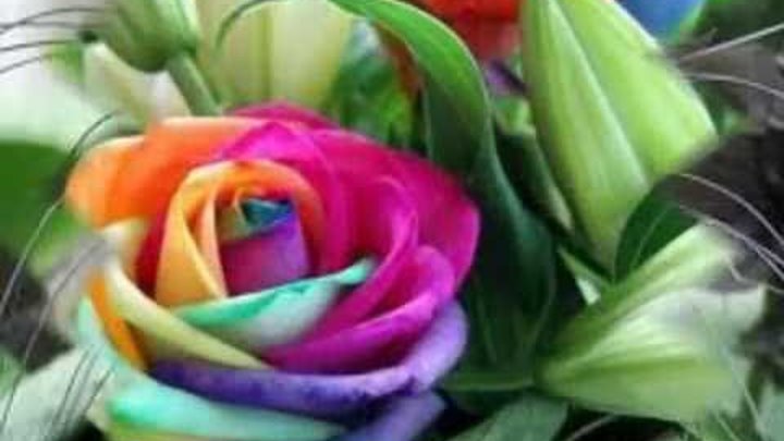 LAS 10 FLORES MAS RARAS DEL MUNDO LAS 10 FLORES MAS RARAS DEL MUNDO