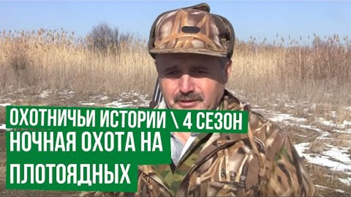 Охотничьи истории. 4 сезон. Ночная охота на плотоядных. (2 серия) смотреть онлайн Охотничьи истории. 4 сезон. Ночная охота на плотоядных. (2 серия)